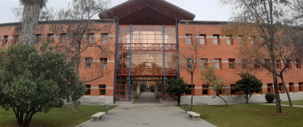 Image related to Minor Business Administration and Management - Universidad Rey Juan Carlos